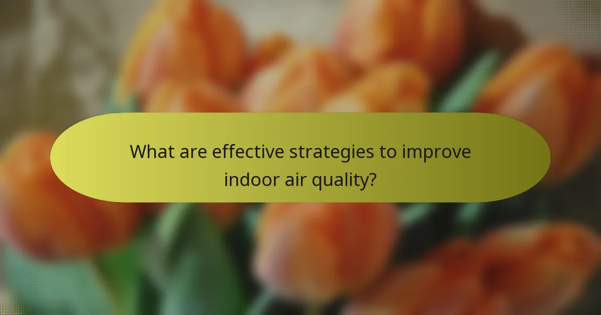 What are effective strategies to improve indoor air quality?
