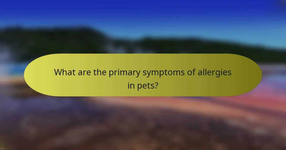 What are the primary symptoms of allergies in pets?