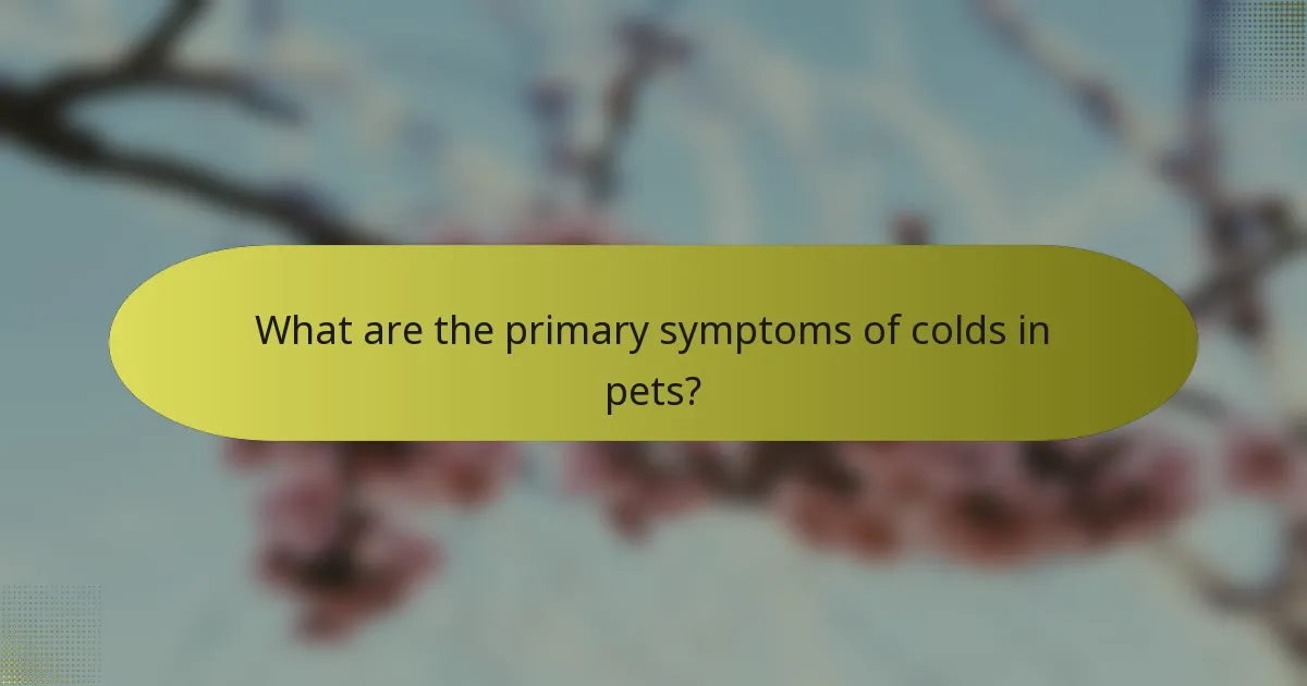 What are the primary symptoms of colds in pets?